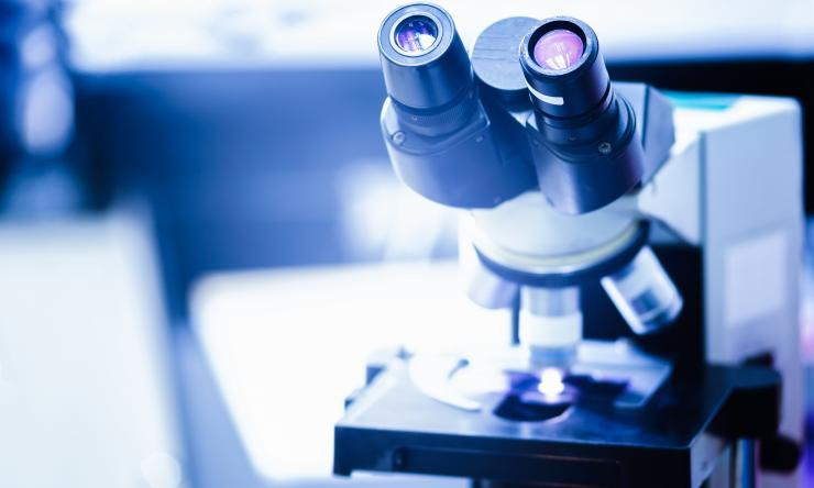 BCM News coverage of the bone metastasis single-cell study